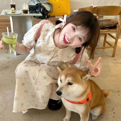 赤沙印记